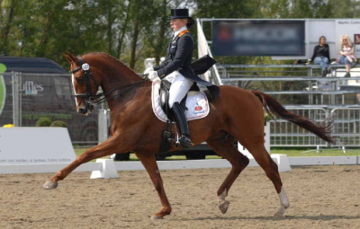 3 Events To Challange Your Equestrian Skills
